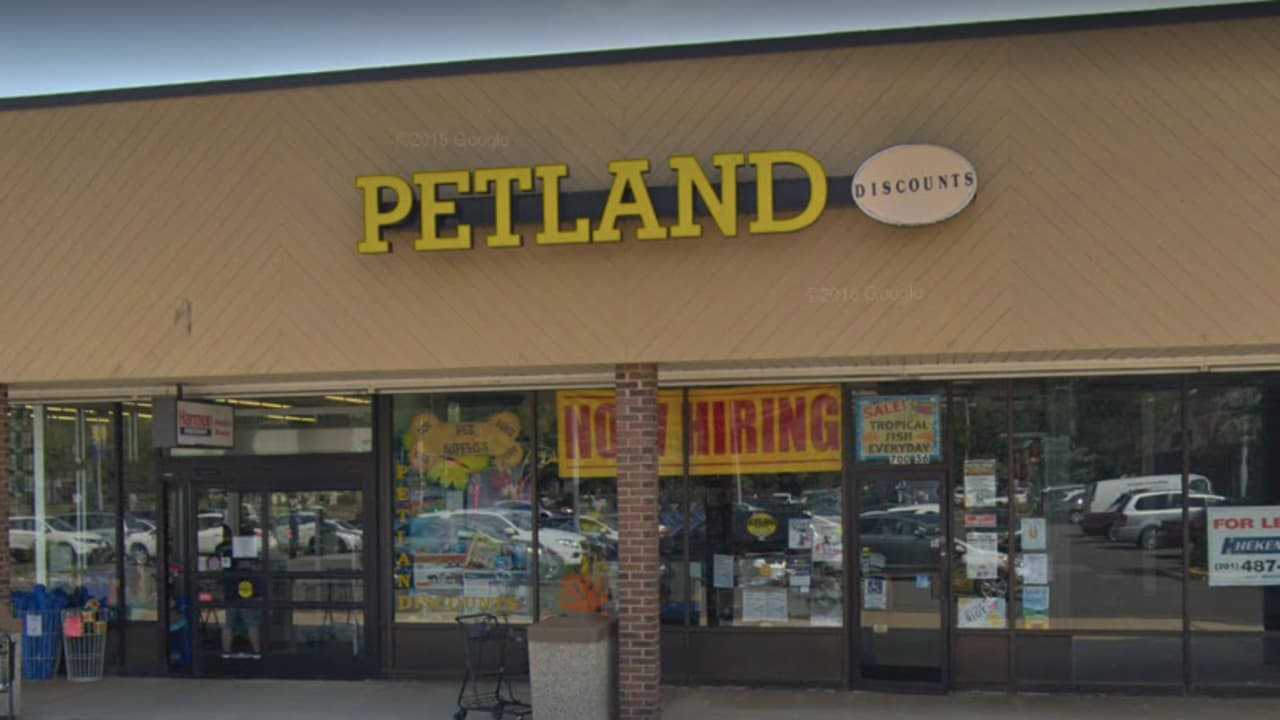 Neil online padron petland