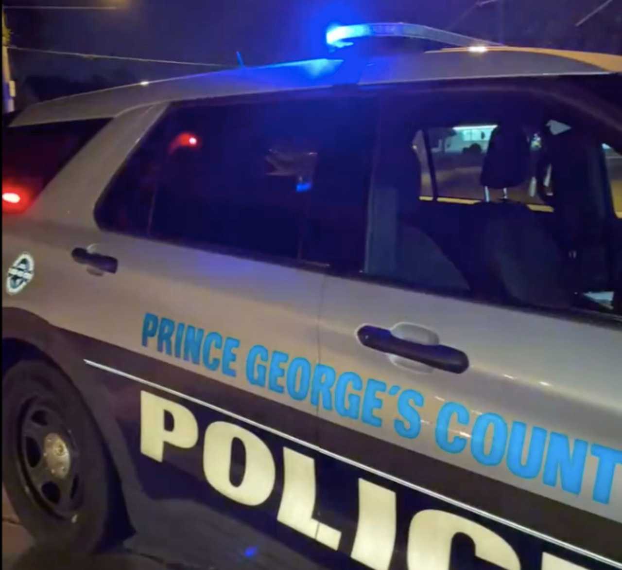 Police Seek ID Of Pedestrian Fatally Struck In Adelphi Prince