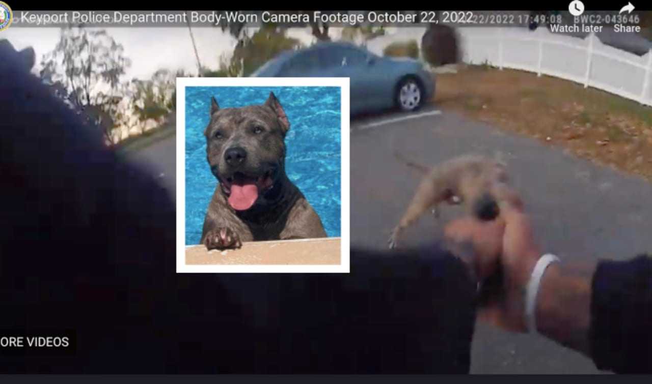 Disturbing Footage Shows Officer Shooting Barking Dog Whose NJ Owner