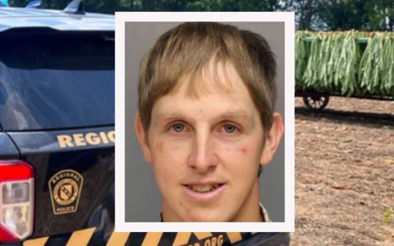 Ephrata Dad Charged After Horse Drawn Wagon Crushes 3 Year Old #39 s Girl