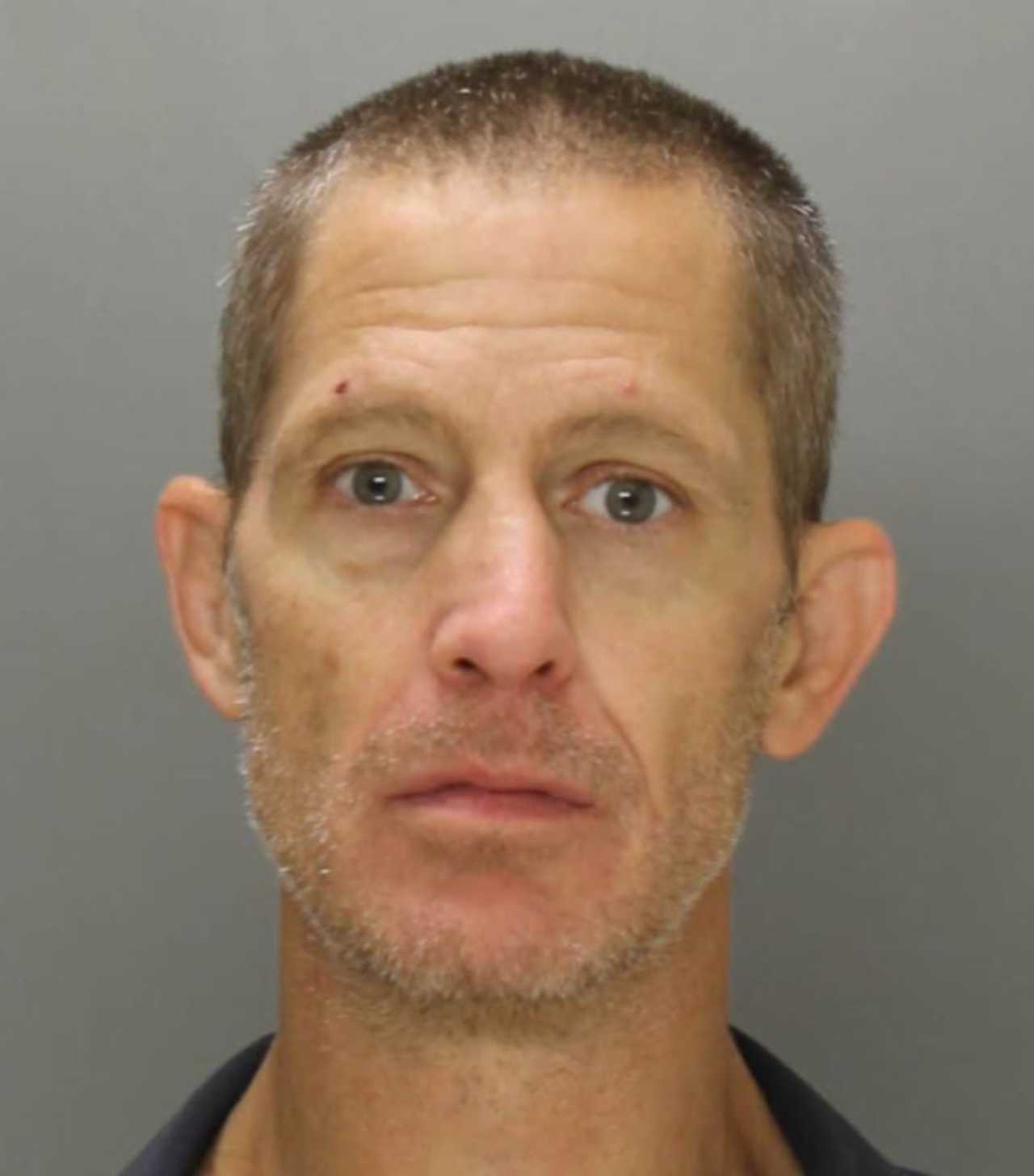 Baseball Bat Beatdown Suspect Tracked By Dogs, Helicopter In Conestoga