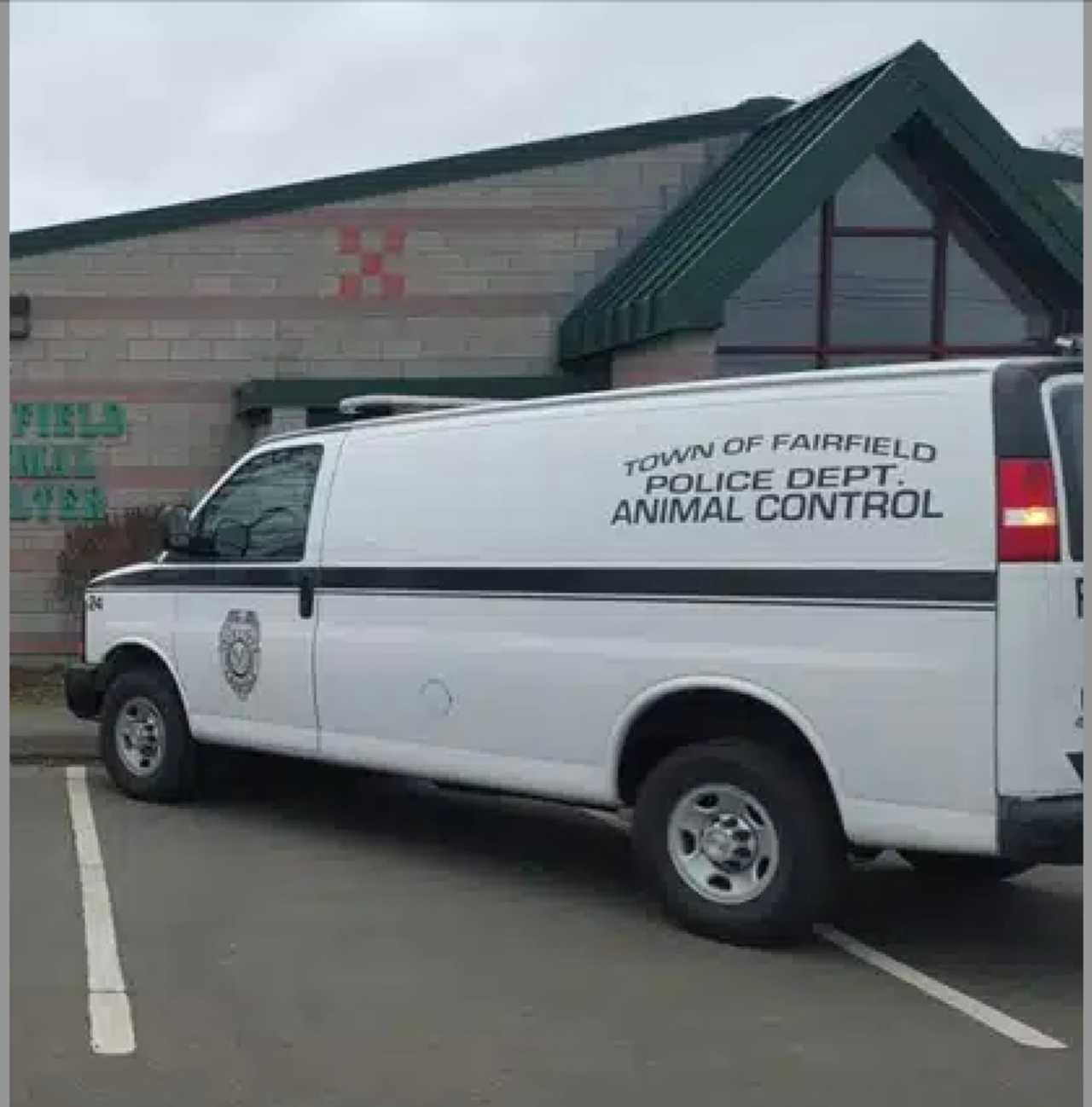 House Full Of Neglected Animals Deemed Unhabitable In Fairfield