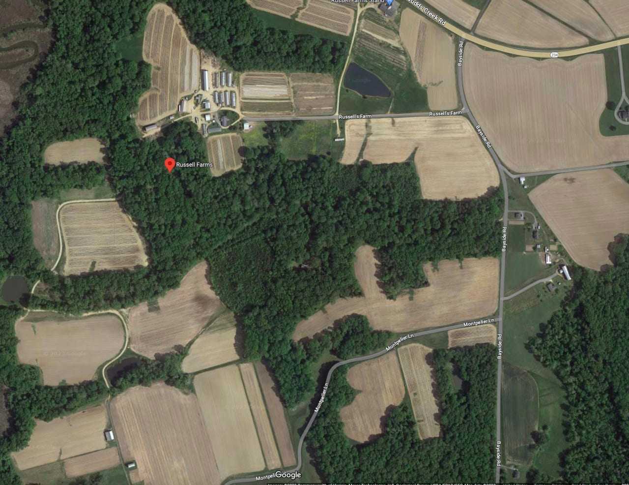 Pilot Forced To Make Emergency Landing In St. Mary’s County Cornfield, State Police Say