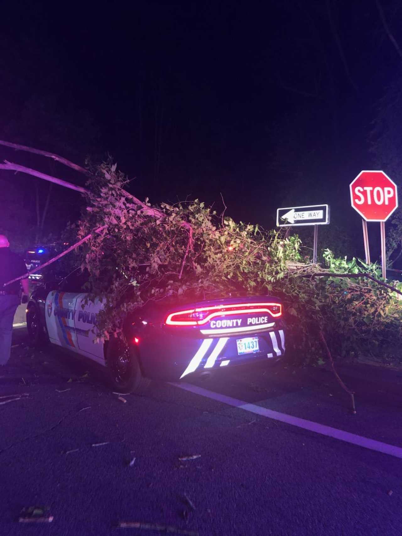 Officer Escapes Injury After Tree Falls On Cruiser Following 100 MPH ...