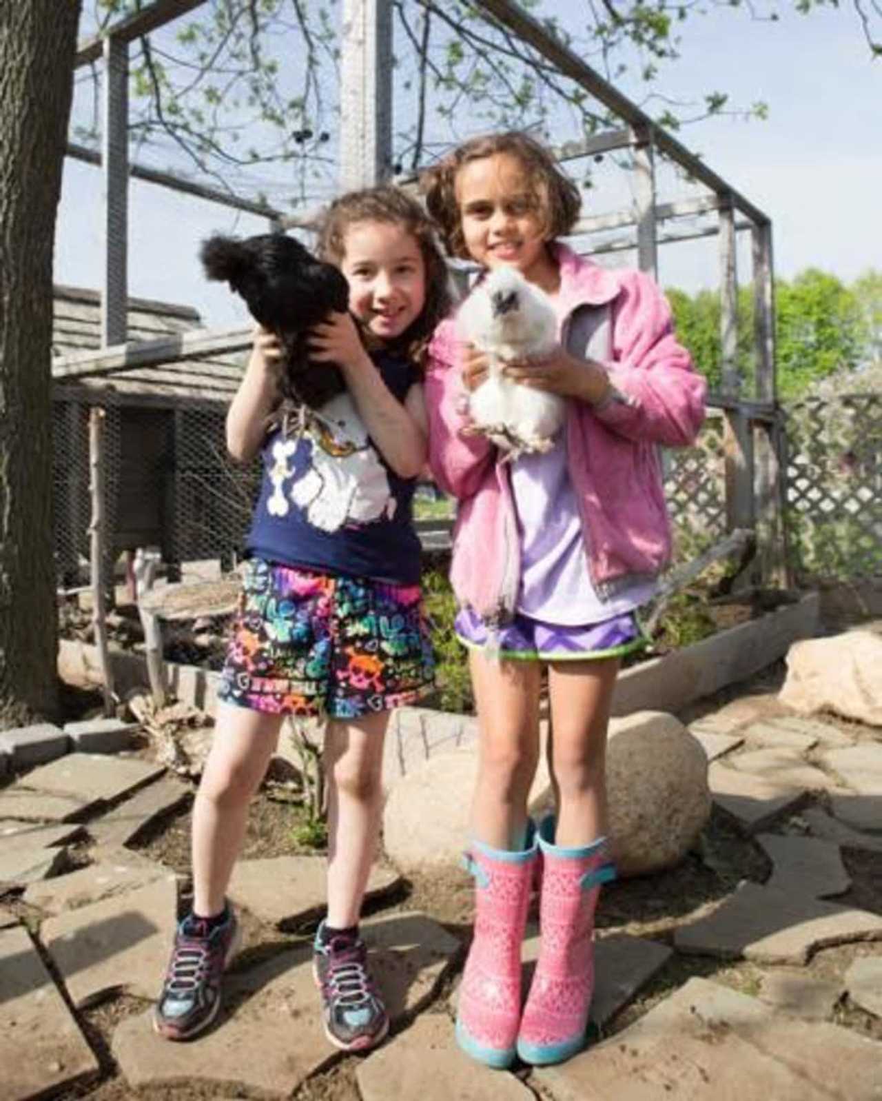 Wakeman Town Farm In Westport Sets Up For Summer Fun At Camp Westport