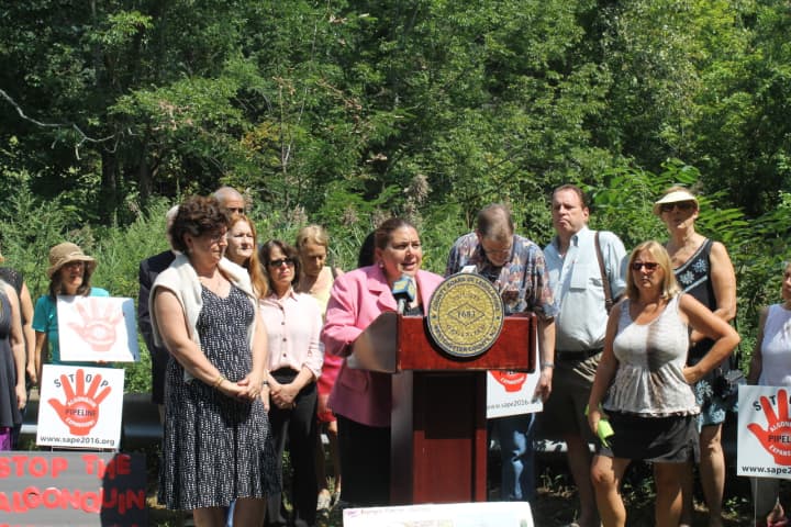 Legislator Catherine Borgia is joined by Legislators MaryJane Shimsky and Alan Cole at a press conference with local community members .