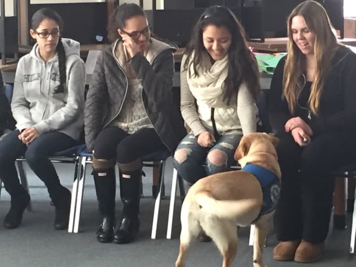 Veterinary students were excited to meet the service dogs.