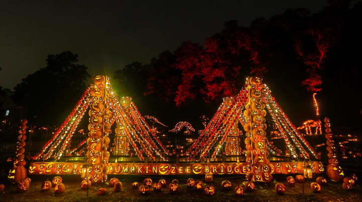 The 80-foot-long Pumpkin Zee Bridge is among the new displays at the Great Jack O&#x27;Lantern Blaze® in Croton-on-Hudson this year. The annual fall event has gotten so huge that its organizer, Historic Hudson Valley, has added six days to its calendar.