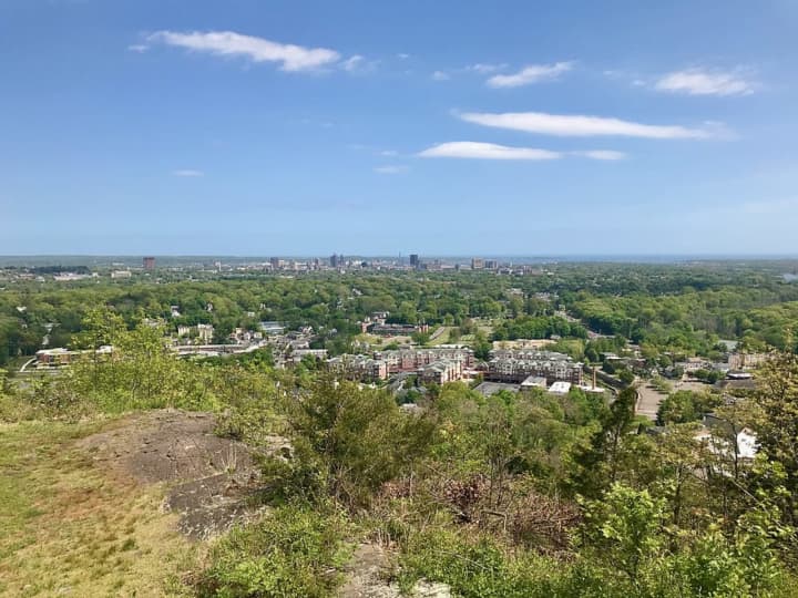 Enjoy the view of New Haven from West Rock Ridge State Park.