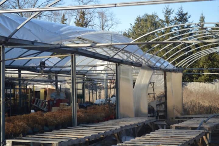 Joe Gingrande new greenhouse collapsed under the weight of all the snow from the recent Nor&#x27;easter.
