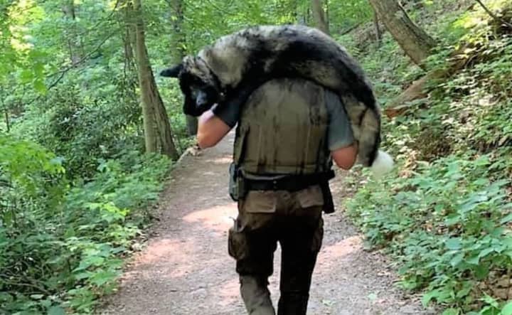 Supervisory Park Ranger Kris Salapek carries the dog down Mount Tammany.