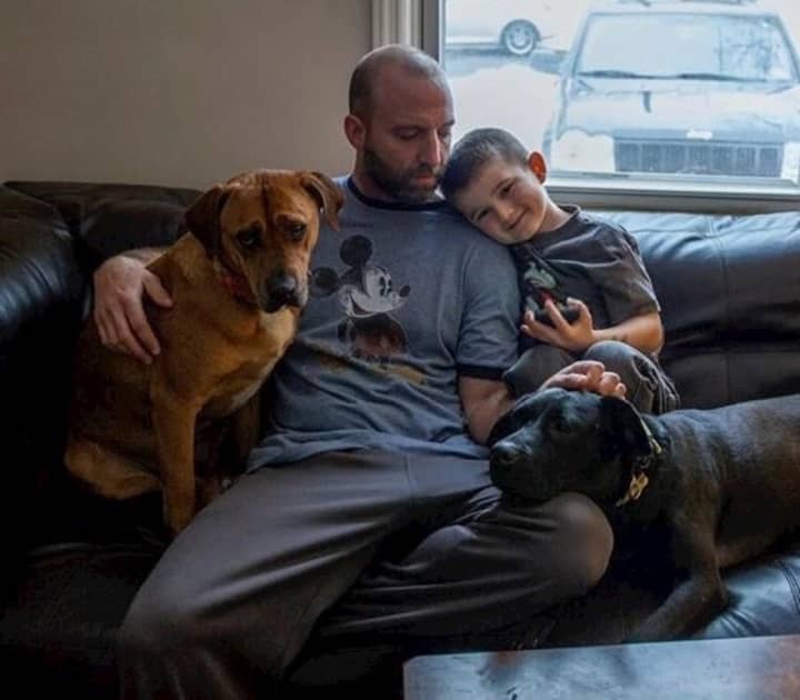 Steve Quilliam hangs out in his Fair Lawn home with his son, Cooper, and some of the dogs in his pack.