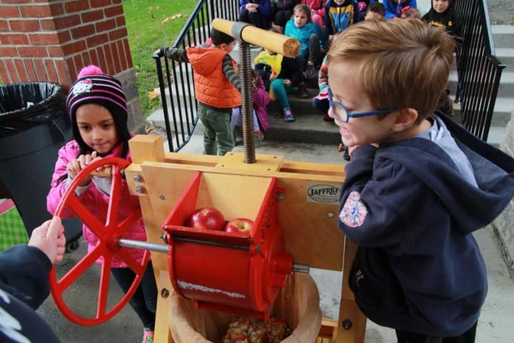 Kindergartners in Mount Pleasant made their own apple cider using the school&#x27;s apple press. 