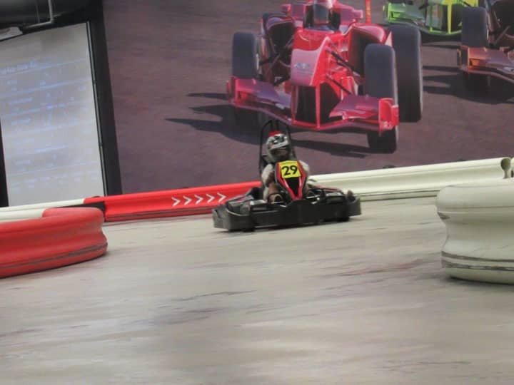Up to 10 racers participate in each run at The Autobahn Indoor Speedway.