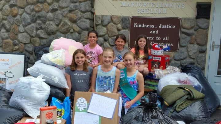 Somers Girl Scout Troop 1460 collected more than a ton&#x27;s worth of food, toys and blankets for the animals at the Putnam Humane Society.