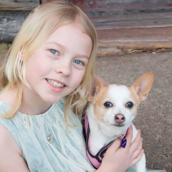 Willow Phelps of Ringwood is the ASPCA&#x27;s 2016 Kid of the Year.