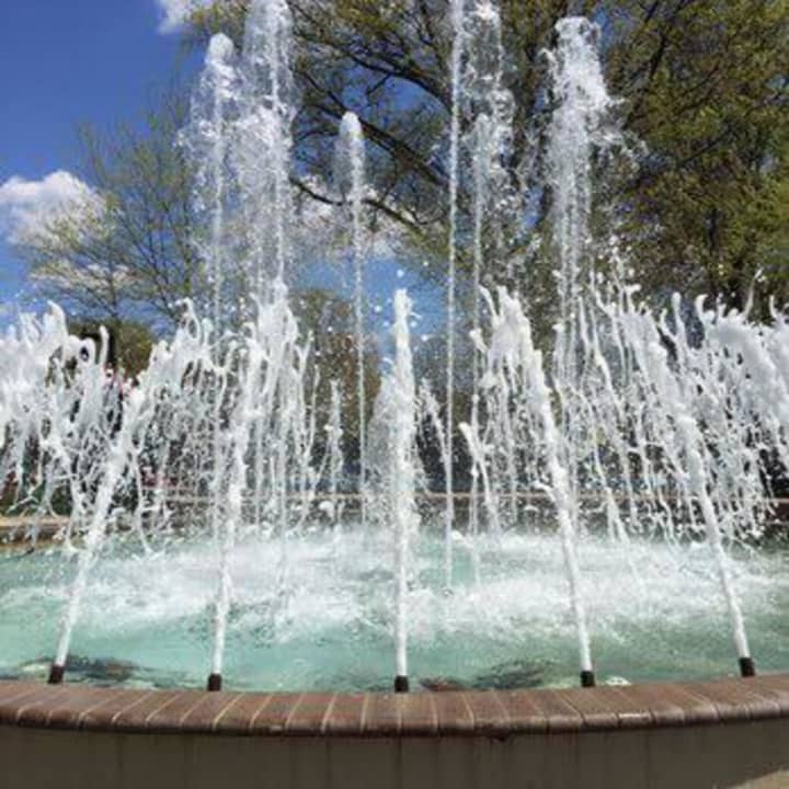Someone put bubble solution in a Lyndhurst fountain, police said.
