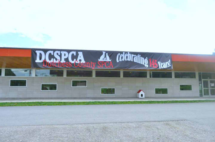The Dutchess County SPCA in Hyde Park