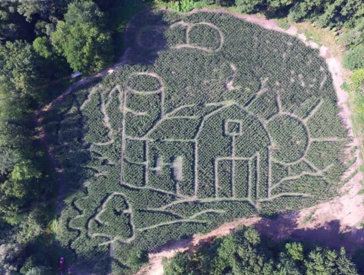 <p>Check out the corn maze at Lupardi&#x27;s Nursery in Closter.</p>