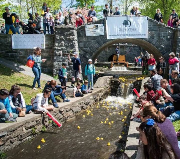 Tarrytown is hosting its annual rubber duck derby