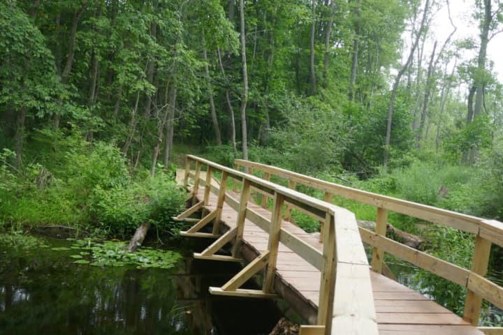 The new bridge at FDR State Park