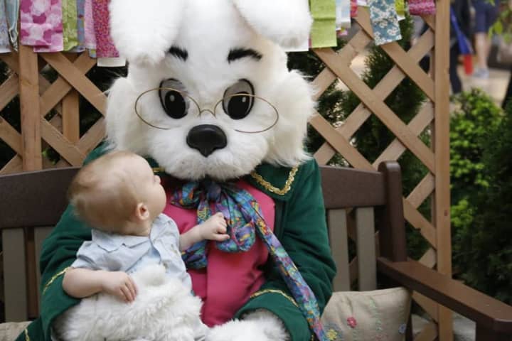A friend of the Easter bunny who appeared to be sleeping at the Willowbrook Mall said she was dehydrated, while a mall spokeswoman said she was playing a game.