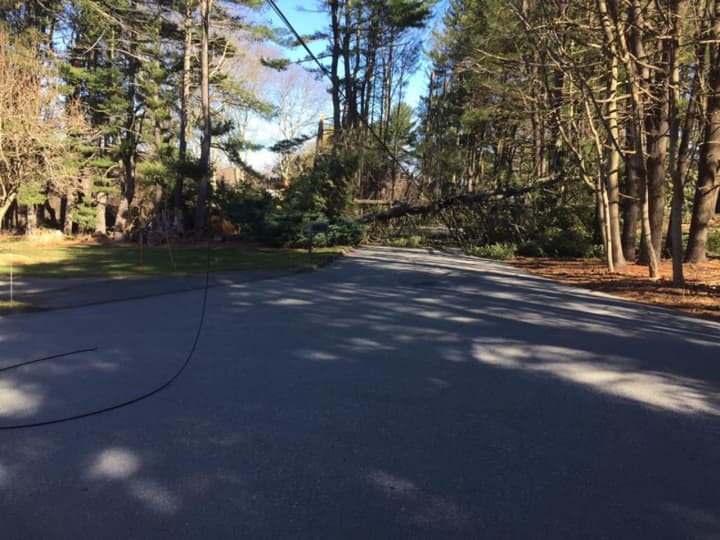 Wilton CERT was deployed Thursday to help detour traffic after a tree fell at the north end of Warncke Road and Catalpa Road near Wilton High School.