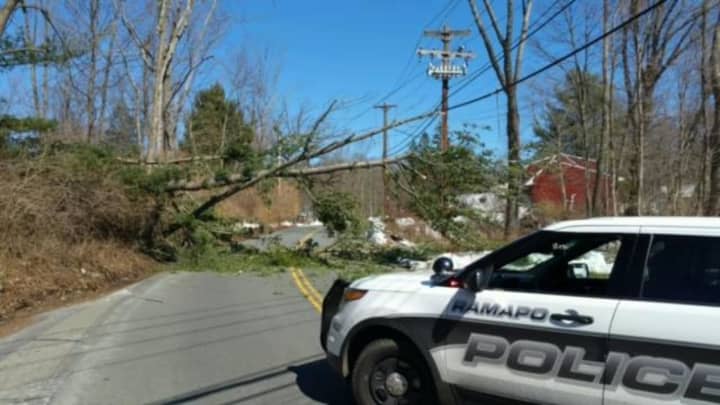 A tree is currently blocking Ladentown Road in the Pomona area.