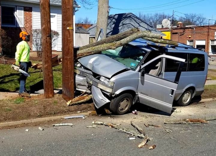 The van uprooted a tree before slamming into the utility pole.