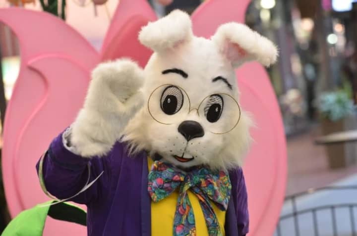 The Easter bunny appeared to have fallen asleep at the Willowbrook Mall Wednesday, causing panic amongst moms in line for photos.