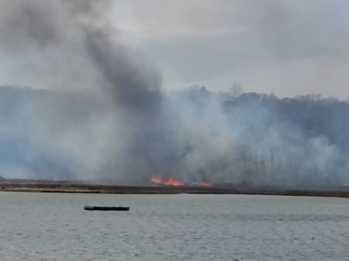 Firefighters are battling a blaze at the Marshlands Conservancy.