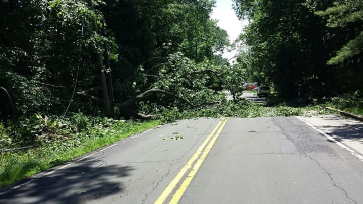 Route 340 will be closed for at least the next four hours due to a downed tree and wires.