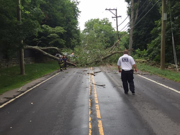 A fallen tree blocks North Street in Greenwich on Friday. Three cars were hit by the tree.