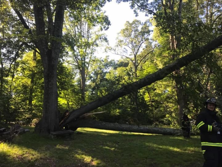 The strong storm that moved through the area Sunday into early Monday continues to affect roadways and commuters in Northern Westchester and Putnam as gusty winds continue to bring down trees and wires in the area.