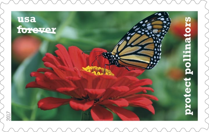 An image by Somers photographer Bonnie Sue Rauch is on a new Forever stamp.