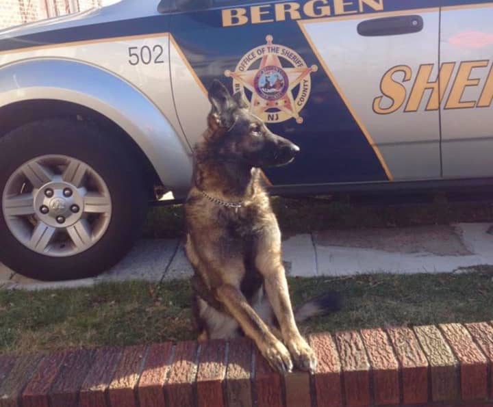 The BCSO K-9 unit is grieving for Brinley.