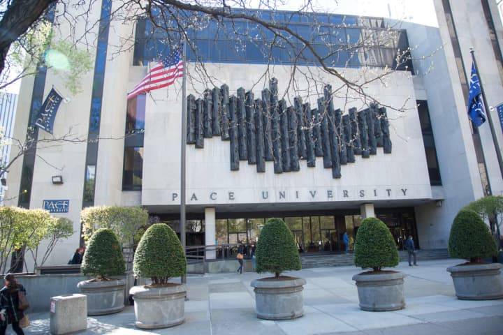 Pace University has unveiled its 2015-2020 Strategic Plan, which will redesign the school&#x27;s Lower Manhattan Campus.