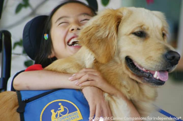 Service dogs from Canine Companions for Independence will be part of a program Oct. 17 at the Scarsdale Public Library.