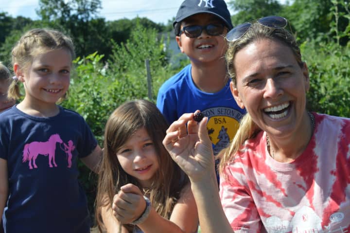 HealthBarn USA founder Stacey Antine, right, picks organic blackberries that she grew at Abma&#x27;s Farm in Wyckoff with a children&#x27;s program.