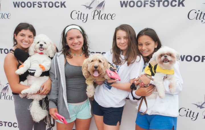Dogs and owners strike a pose at the 2015&#x27;s Woofstock.