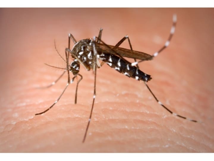 The Fairfield/Easton Medical Corps will be going door-to-door to warn residents about the hazards of mosquitoes and ways to prevent them.