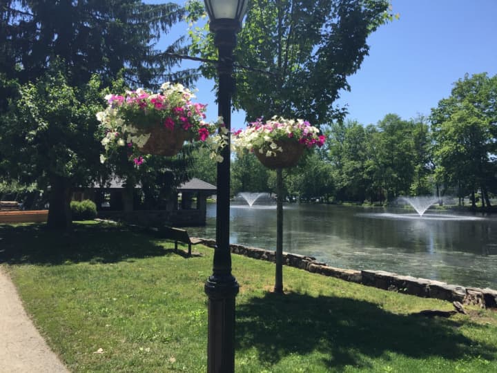 The Darien Beautification Commission planted flowers around Tilly Pond Park.