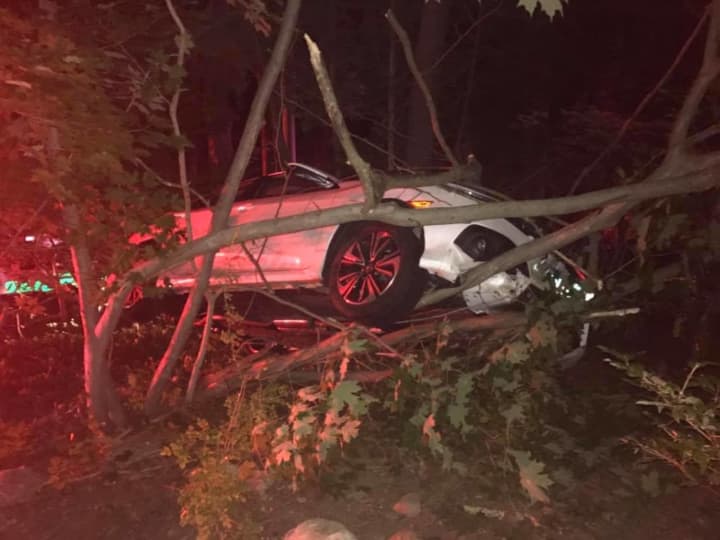A driver ended up in the trees after falling asleep at the wheel.