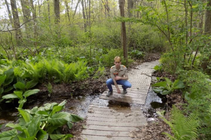 A New Canaan Boy Scout is looking to finish a project at Bristow Sanctuary and Wildwood Preserve, a 17-acre bird sanctuary located off Mead Park.
