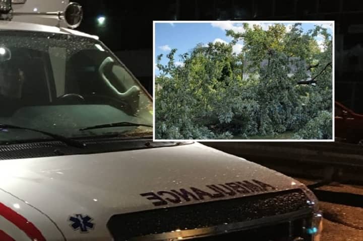 Englewood firefighters “used a chain saw to remove what branches they could from a tree that was blocking the front door.&quot;