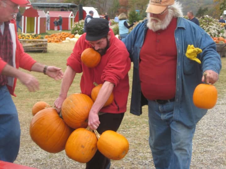 Some people really, really like pumpkins.