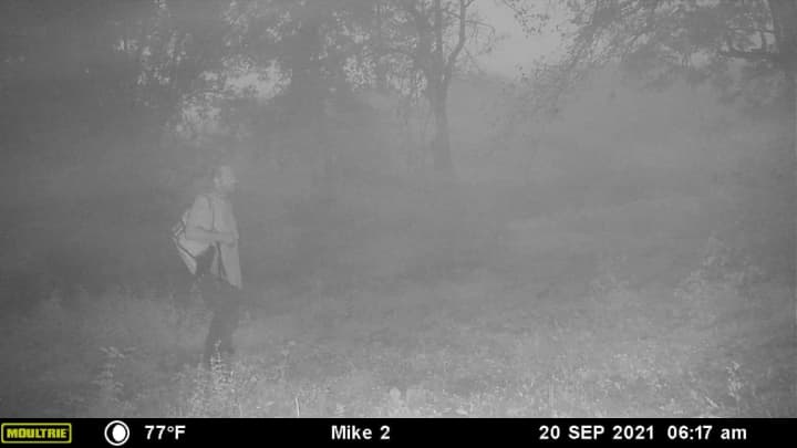 The image was captured on a deer camera in Northwestern Florida.