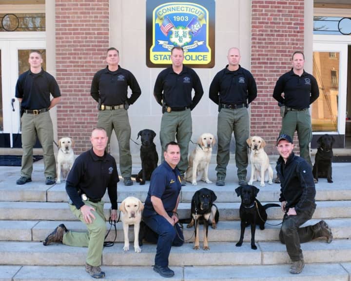 Eight K9 teams have graduated from the Connecticut State Police Canine Training Unit. Five will be assigned to patrol Metro-North trains and train stations.