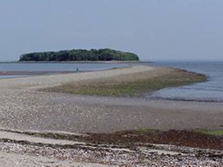 At low tide, a sandbar reaches from Silver Sands State Park in Milford out to Charles Island.