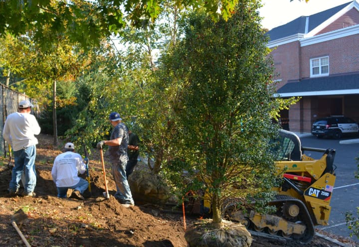 Darien Tree Conservancy recently celebrated the milestone of installing 600 trees. Members are seen here planting trees at the police station.